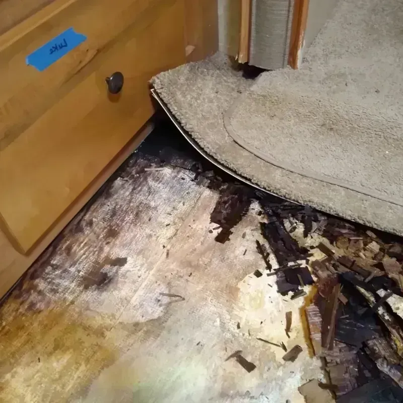 Best Wood Floor Water Damage Service in Schall Circle, FL